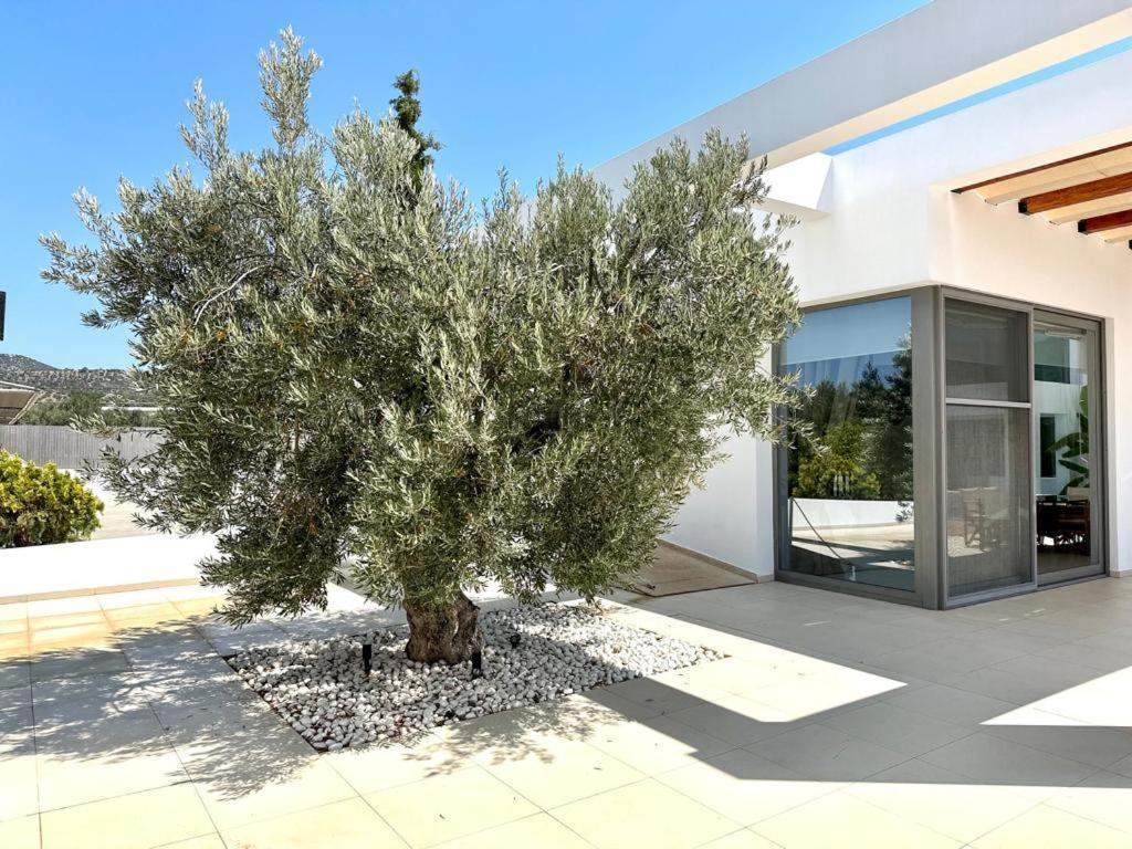 Leblanc Luxurious Beachfront Villa, Gcollectiongr Ermioni Exteriér fotografie